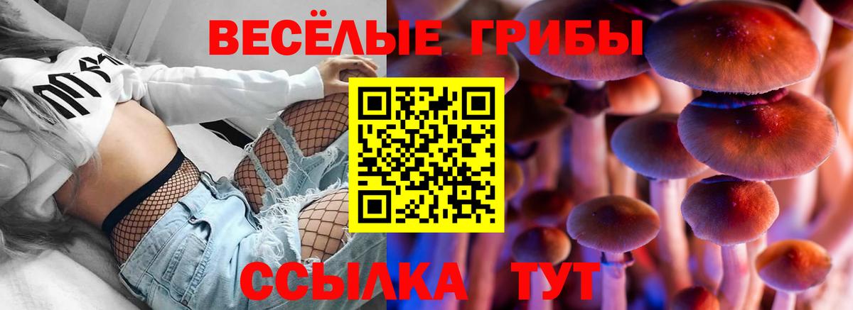 Псилоцибиновые грибы ЛСД  Псилоцибиновые грибы ЛСД  Вход с VPN  Хасавюрт 