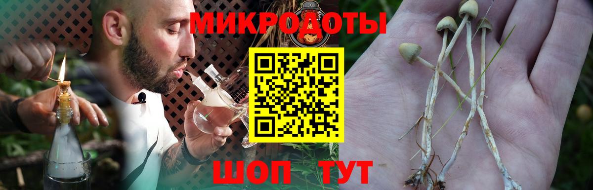 Конопля Хасавюрт