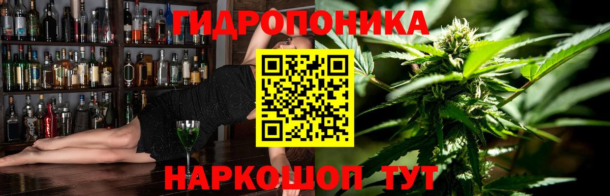 Хасавюрт  Каннабис конопля  Вход с VPN  МАРИХУАНА LSD WEED  Каннабис White Widow 